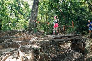 BIB: 
                            <button type="button" onclick="openModal(27800512)" class="btn btn-primary btn-sm float-right btn-popup" data-toggle="modal" data-target=".modal-high-quality">
                        <i class="fas fa-shopping-cart"></i> Add to Cart
                    </button>
                                            <button type="button" onclick="isThisMe(27800512, true)" class="btn btn-success btn-sm float-right btn-popup btn-isme hidden" data-toggle="tooltip" data-placement="bottom" title="นี่คือรูปของคุณใช่ไหม คลิกที่นี่เพื่อเอาเข้าอัลบั้ม">
                        <i class="fas fa-plus"></i> Add to album
                    </button>
                    <button type="button" onclick="isThisMe(27800512, false)" class="btn btn-warning btn-sm float-right btn-popup btn-isnotme hidden">
                        <i class="fas fa-ban"></i> Remove from album
                    </button>